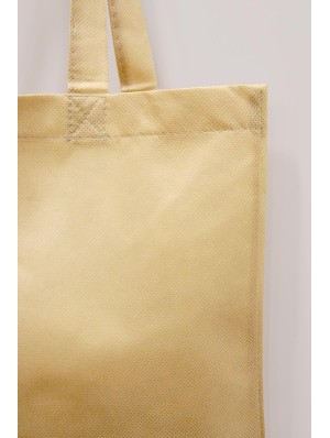 Classic non-woven bag with two long handles 38x42 cm.