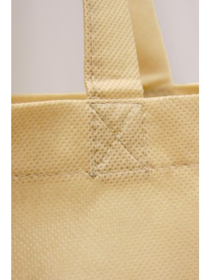 Classic non-woven bag with two long handles 38x42 cm.