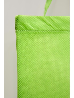 Classic non-woven bag with two long handles 38x42 cm.